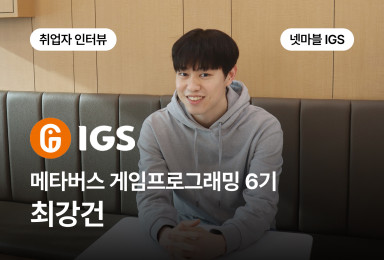 [프로그래밍] 넷마블 IGS QA